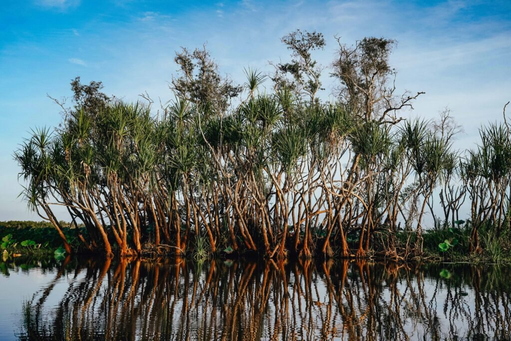 Natural Wonders of Australia