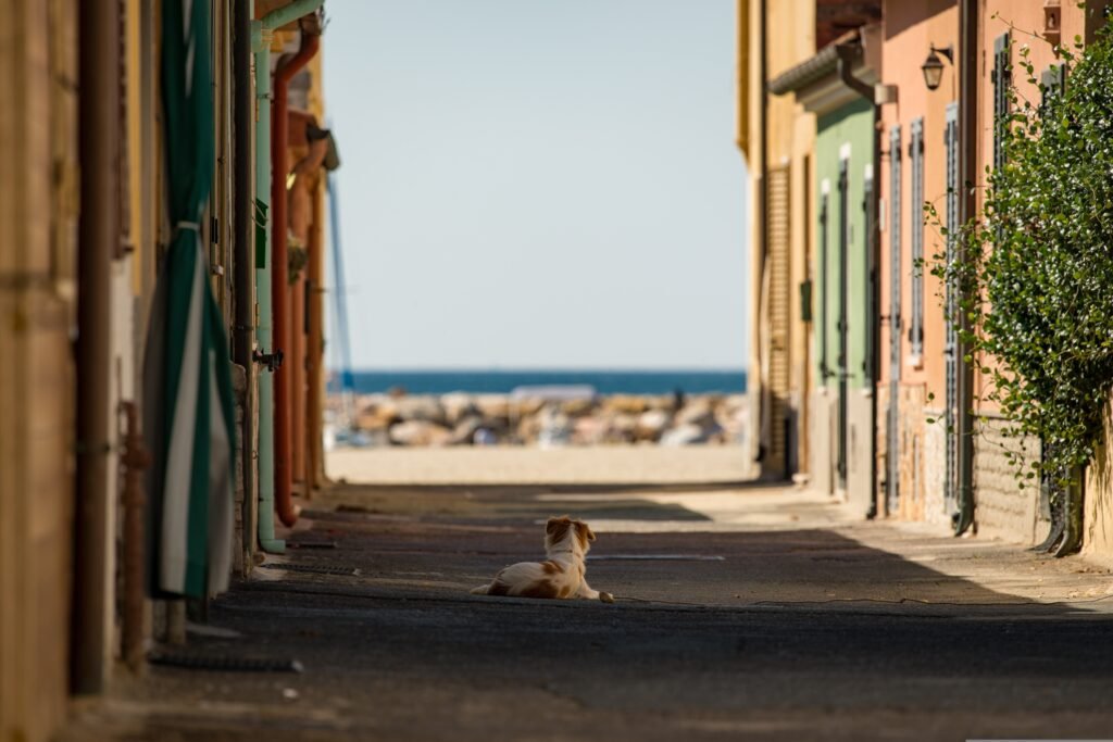 Best beaches in Italy