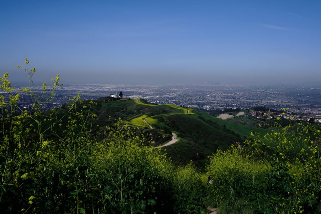 Best San Francisco Travel Guide 2025